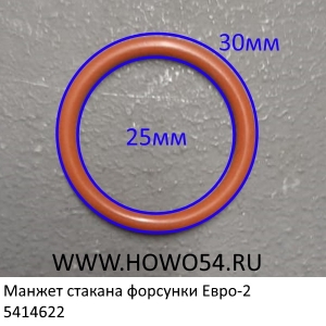 Манжет стакана форсунки Евро-2 (5414622) VG1406060010             