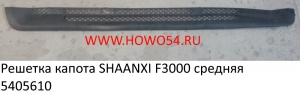Решетка капота SHAANXI F3000 средняя (5405610) DZ13241110013