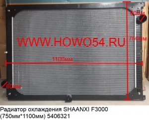 Радиатор охлаждения SHAANXI F3000 (750мм*1100мм) (5406321) DZ9525932202/2212/2211